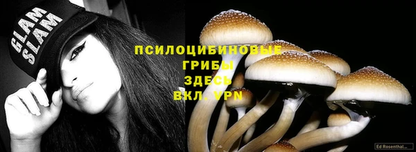прущий лед Протвино