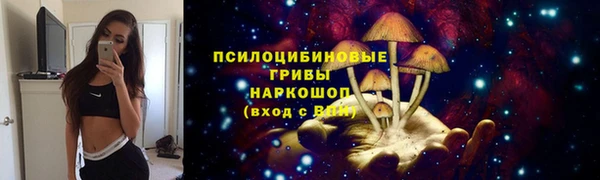 первитин Пролетарск