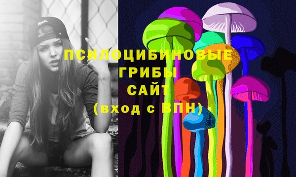стафф Приозерск