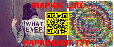 сатива Кингисепп