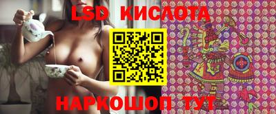сатива Кингисепп