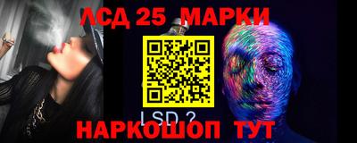 сатива Кингисепп