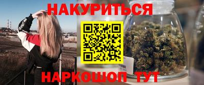 сатива Кингисепп