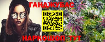 сатива Кингисепп