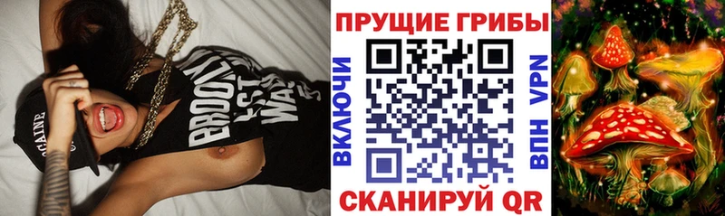 хочу   Балашов  Псилоцибиновые грибы мицелий 