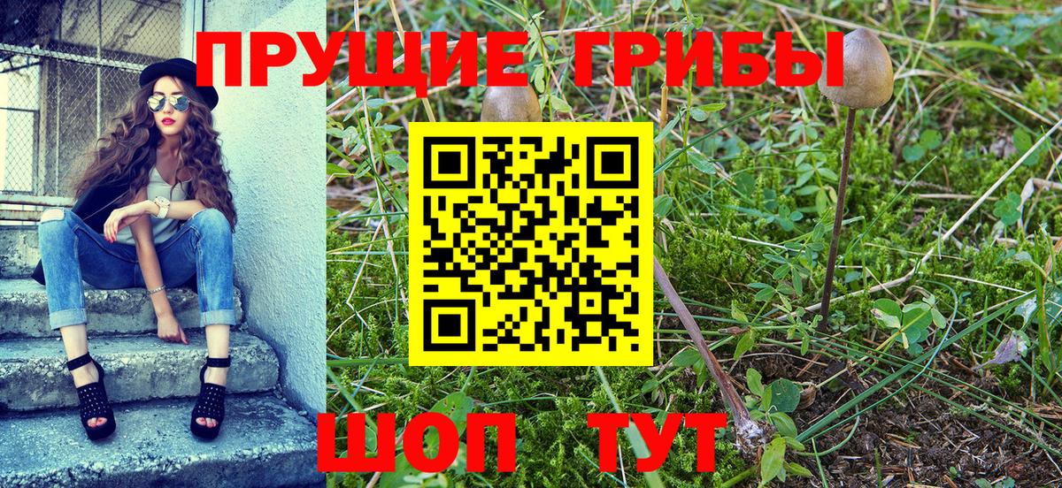Балашов  Галлюциногенные грибы MAGIC MUSHROOMS  Вход с VPN 