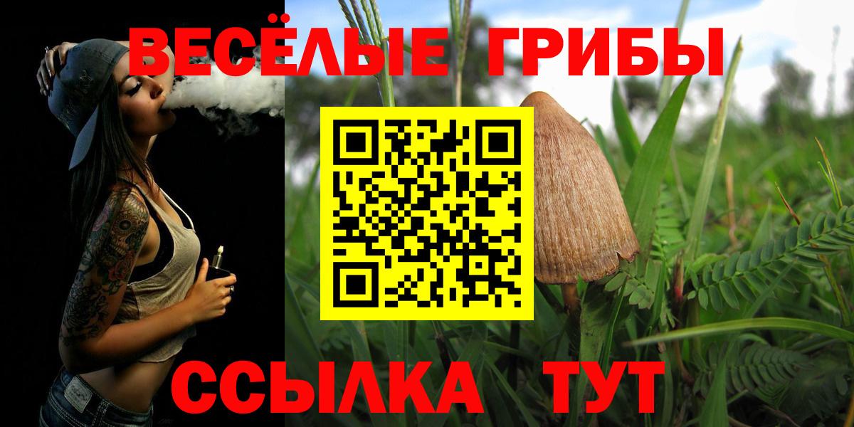 Псилоцибиновые грибы Cubensis Балашов